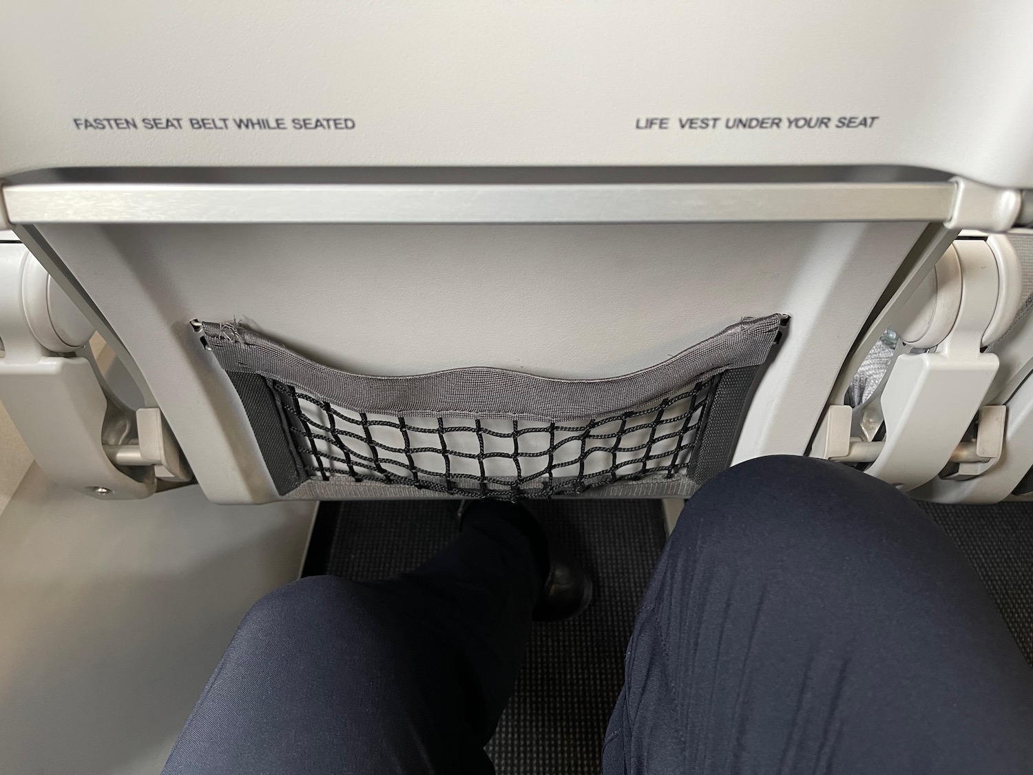 a person's legs and a net on an airplane