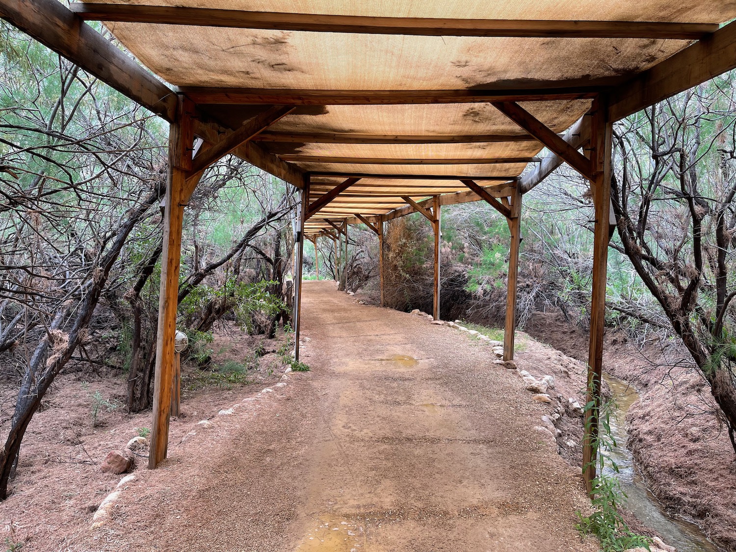 a covered walkway with trees in the background