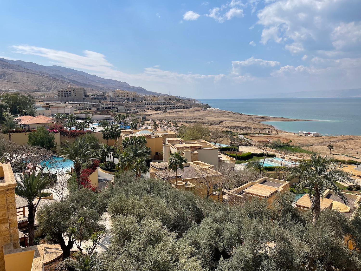 a beach with buildings and trees