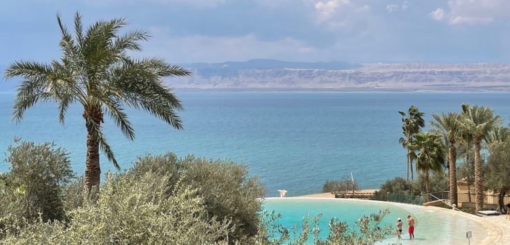 a pool with palm trees and a body of water