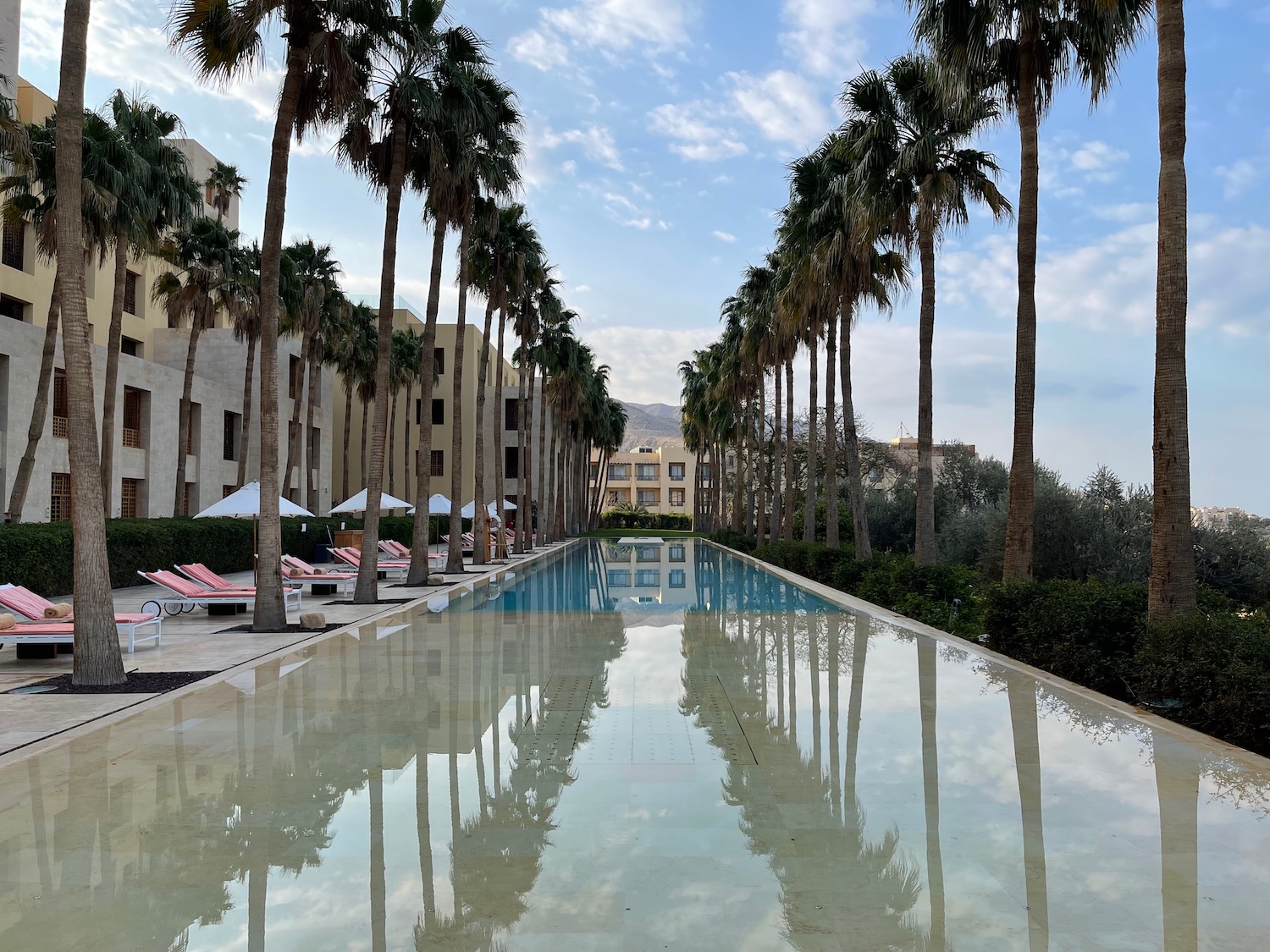 a pool with palm trees and chairs in front of buildings