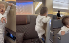 Toddler First Class