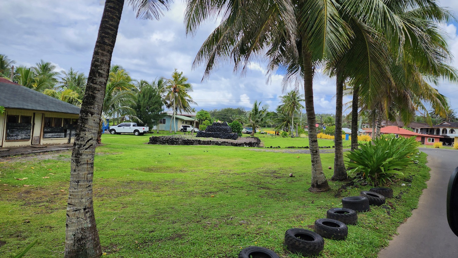 a grass field with trees and tires
