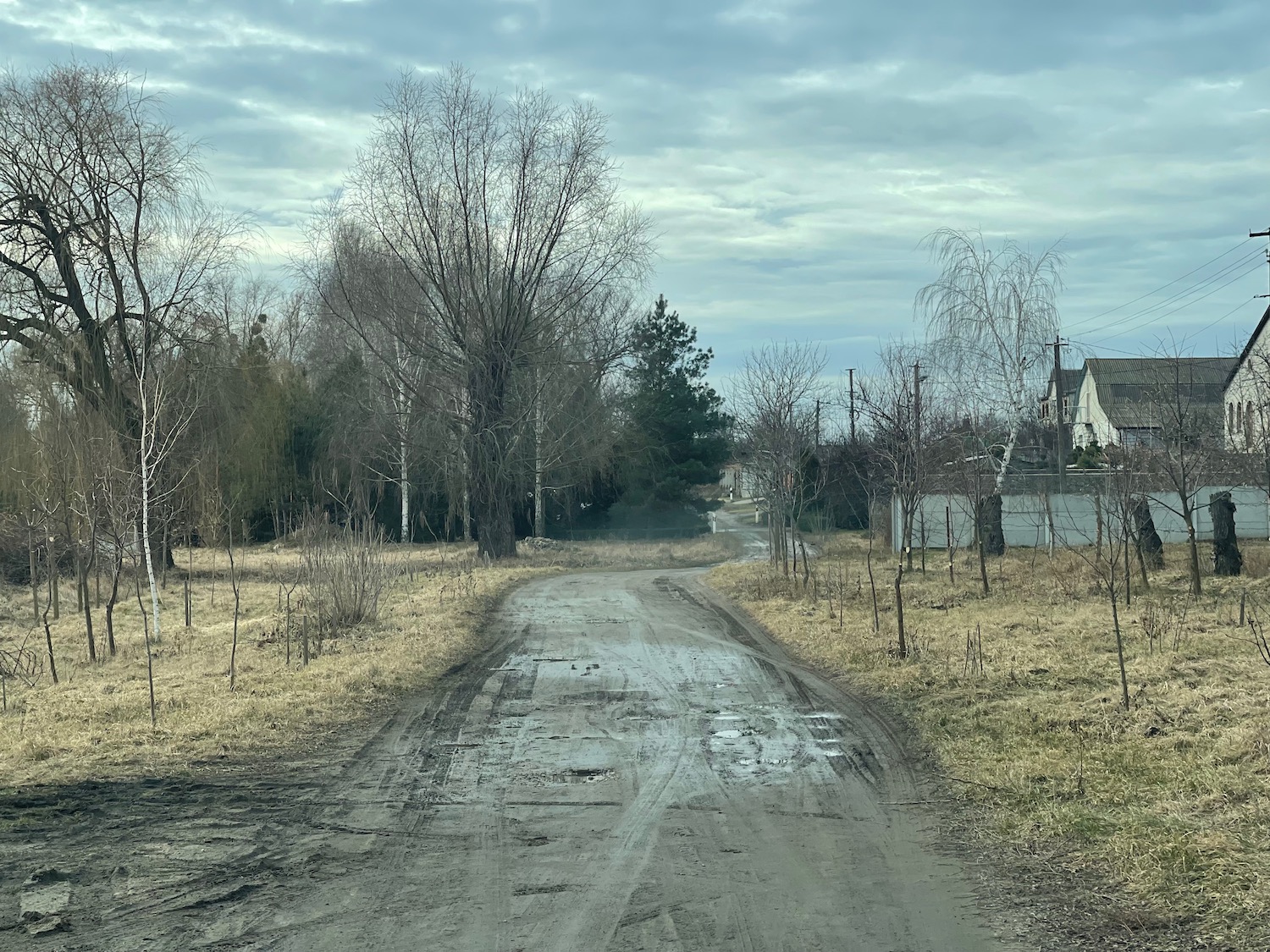 a dirt road with trees and houses in the background