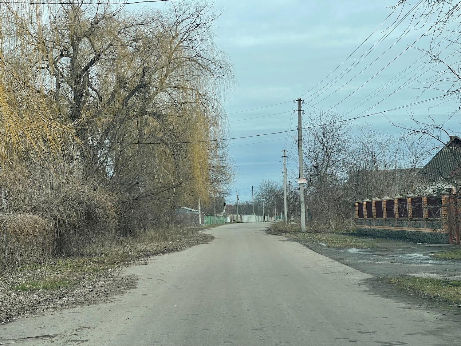 a road with power lines and trees