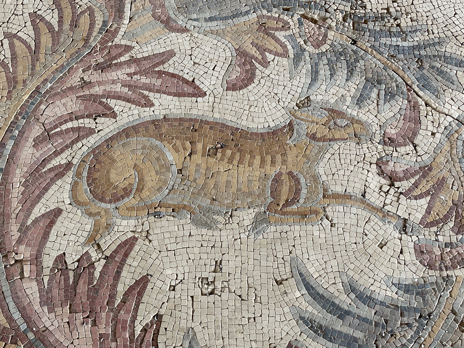 a mosaic of a lizard