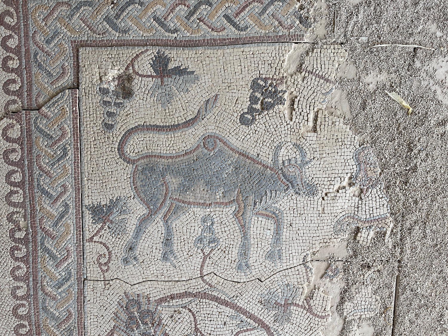 a mosaic of a bull