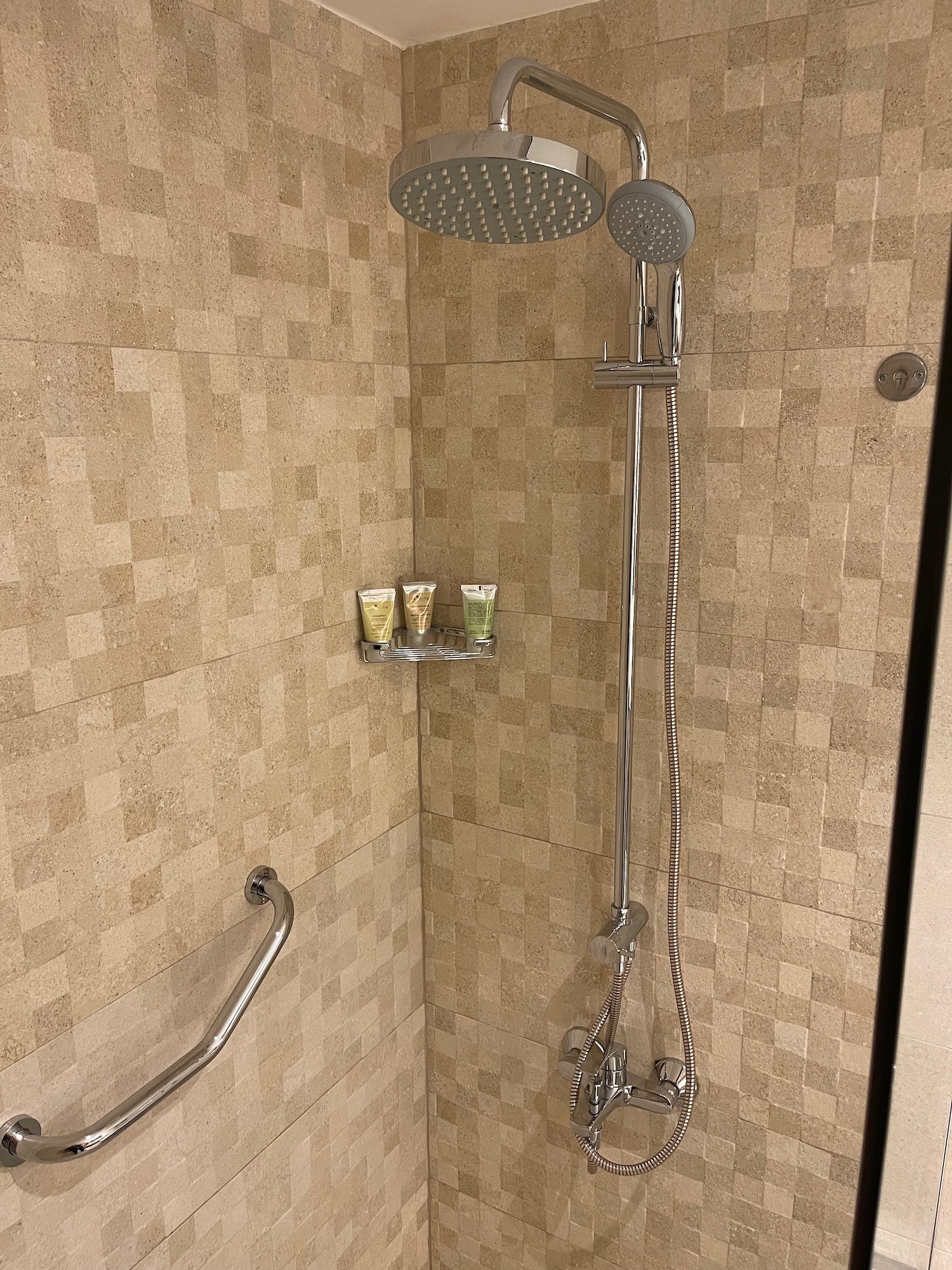 a shower head and handrail in a bathroom