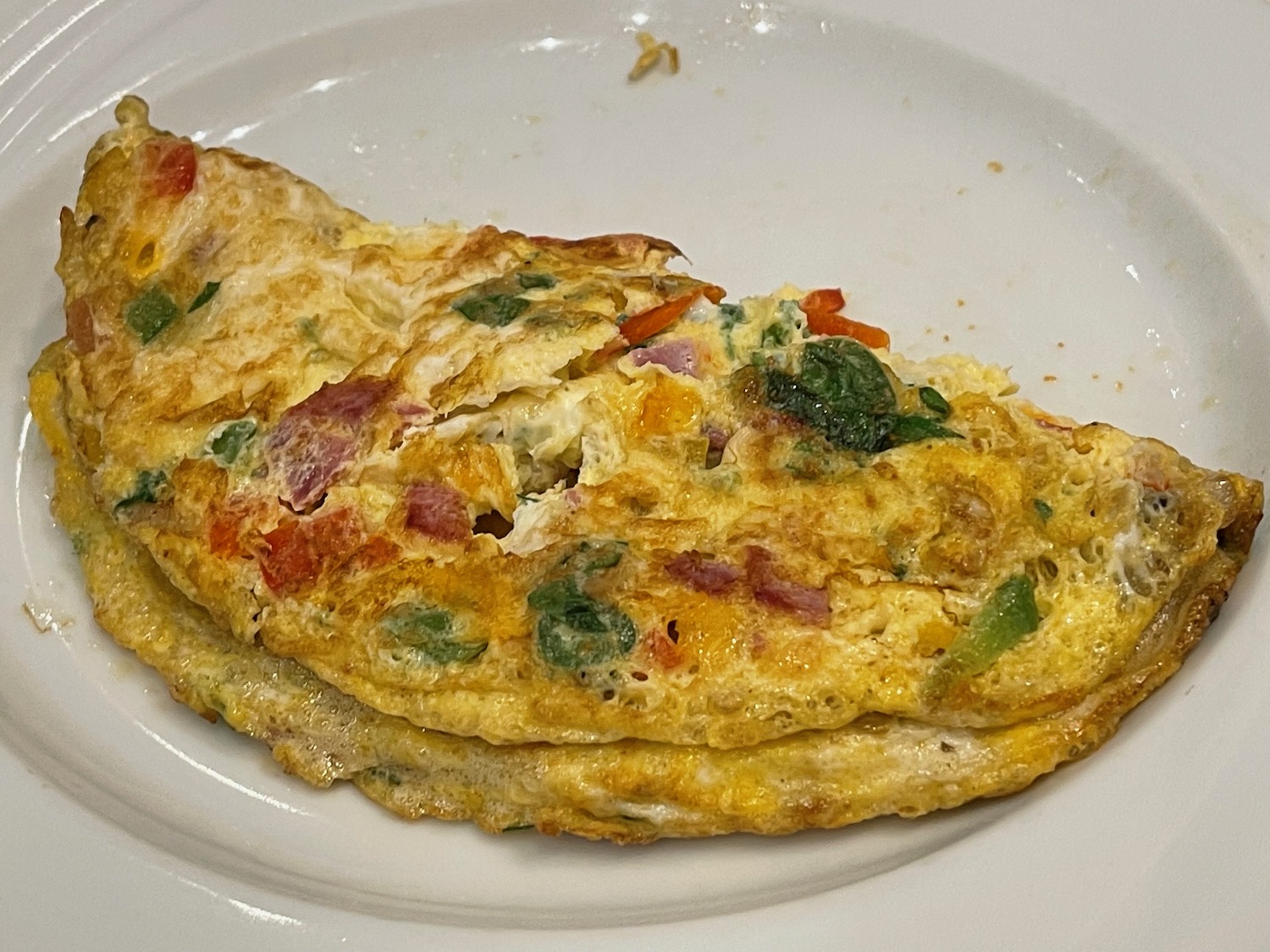 a omelette on a plate