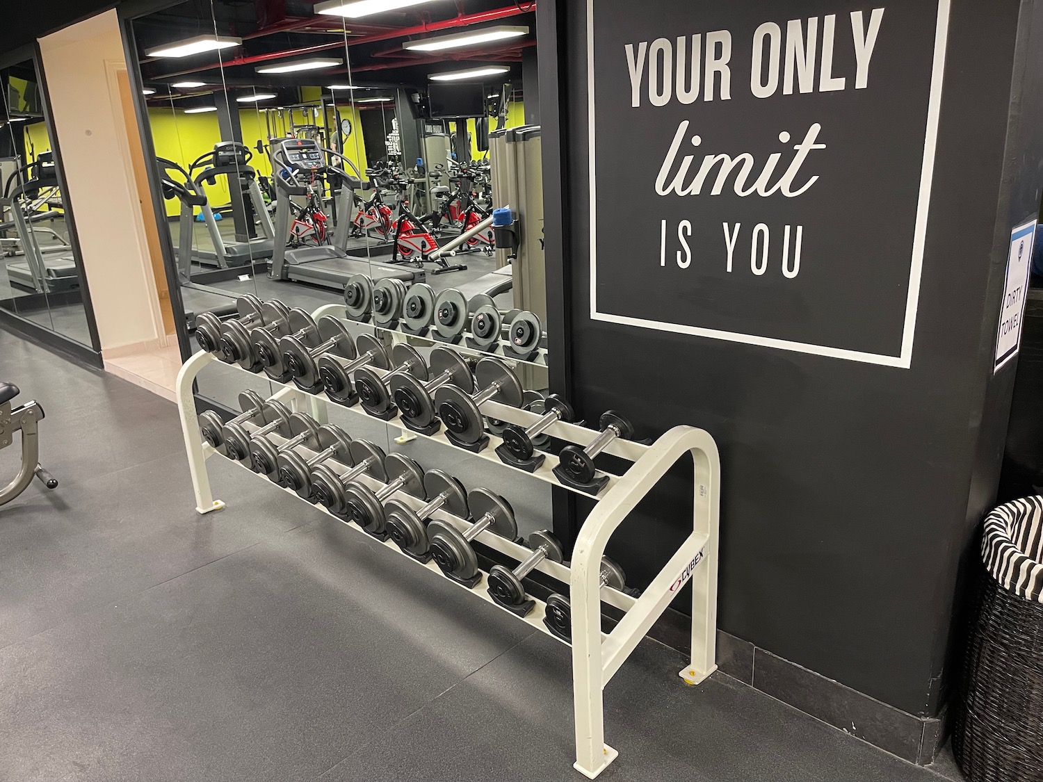 a rack of weights in a gym