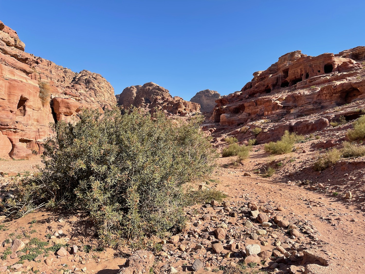 a dirt road through a desert