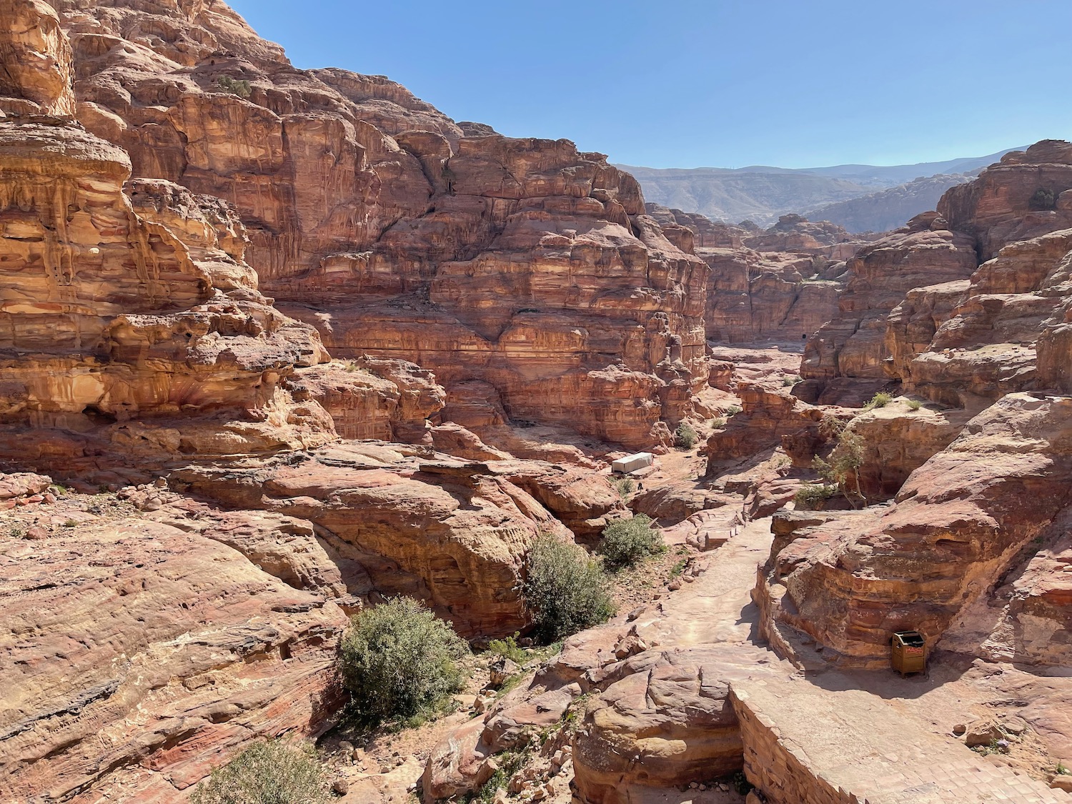 a rocky canyon with bushes and trees