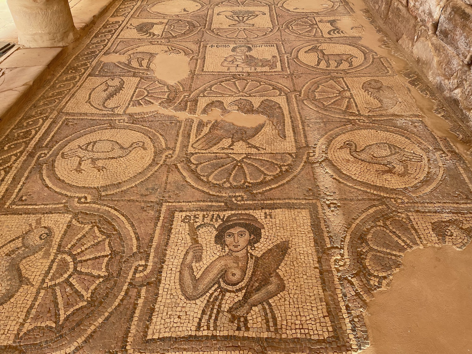 a mosaic floor with images of animals and birds