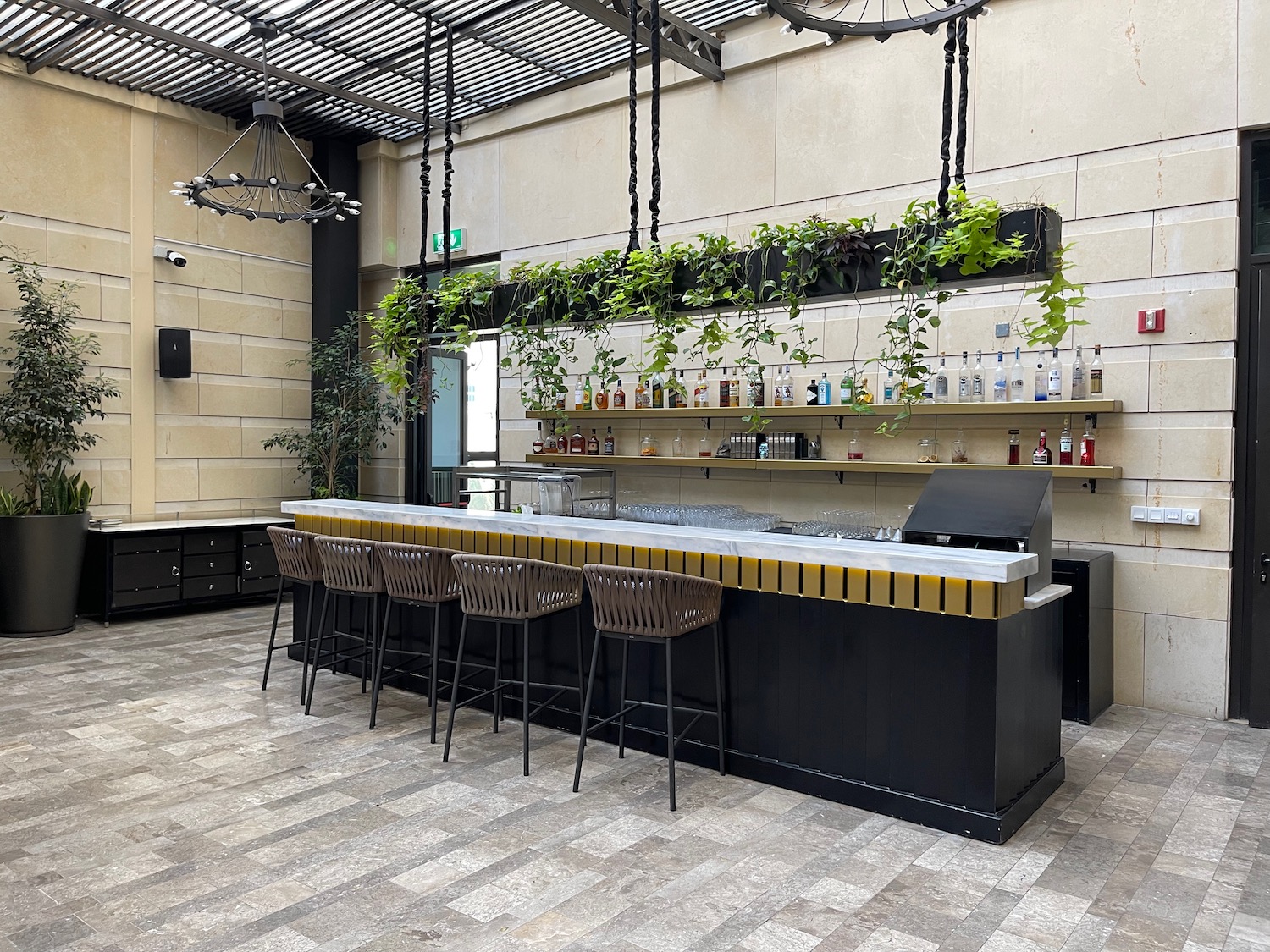 a bar with chairs and a plant from the ceiling