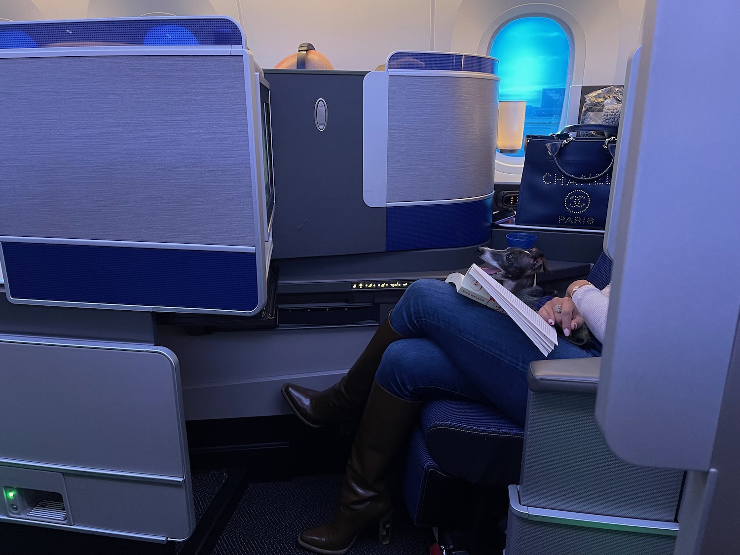 a woman sitting in an airplane with a dog