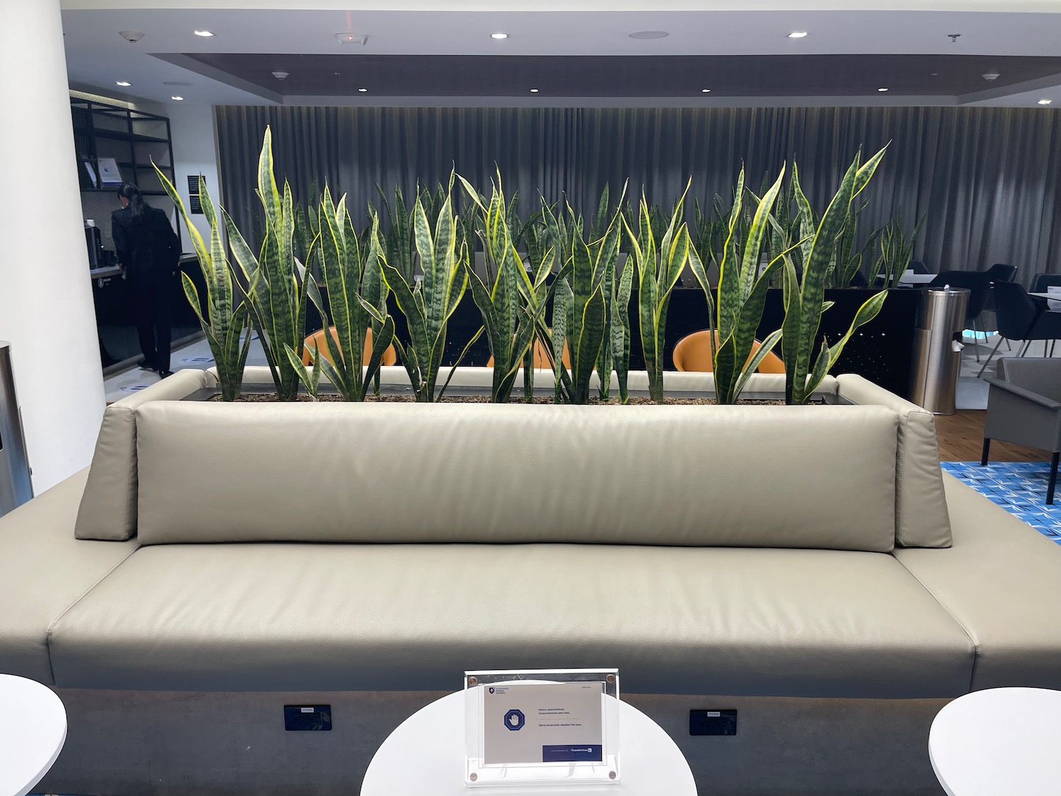 a couch with plants in it