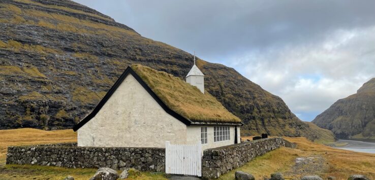 a house with grass on the roof