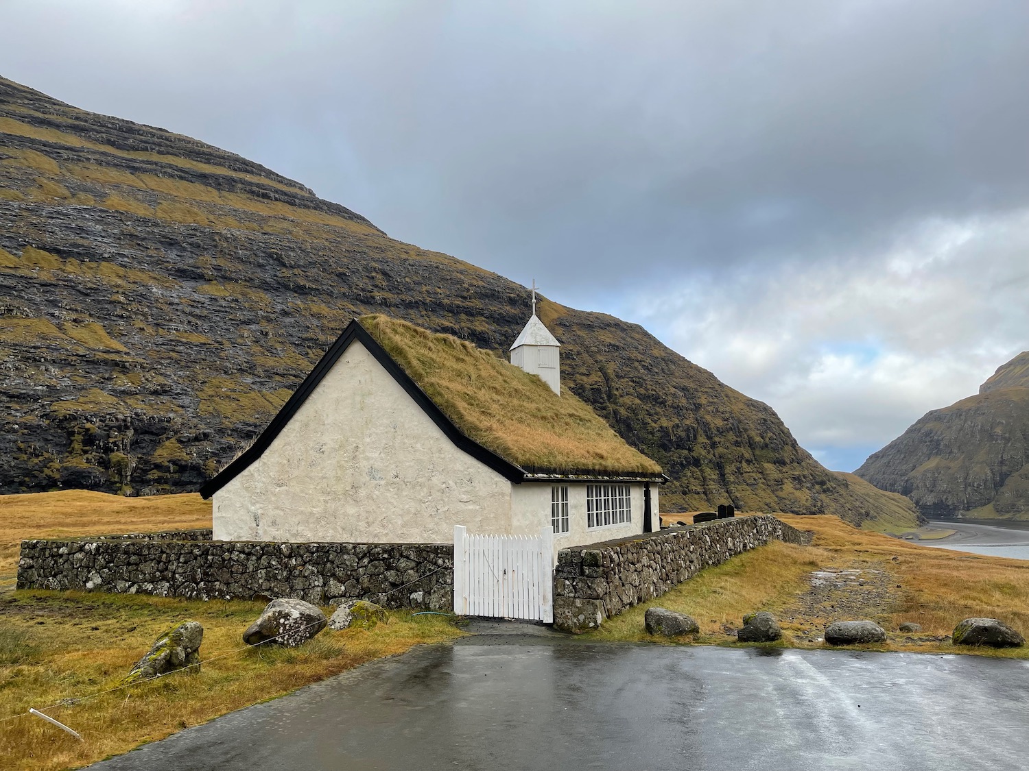 a house with grass on the roof