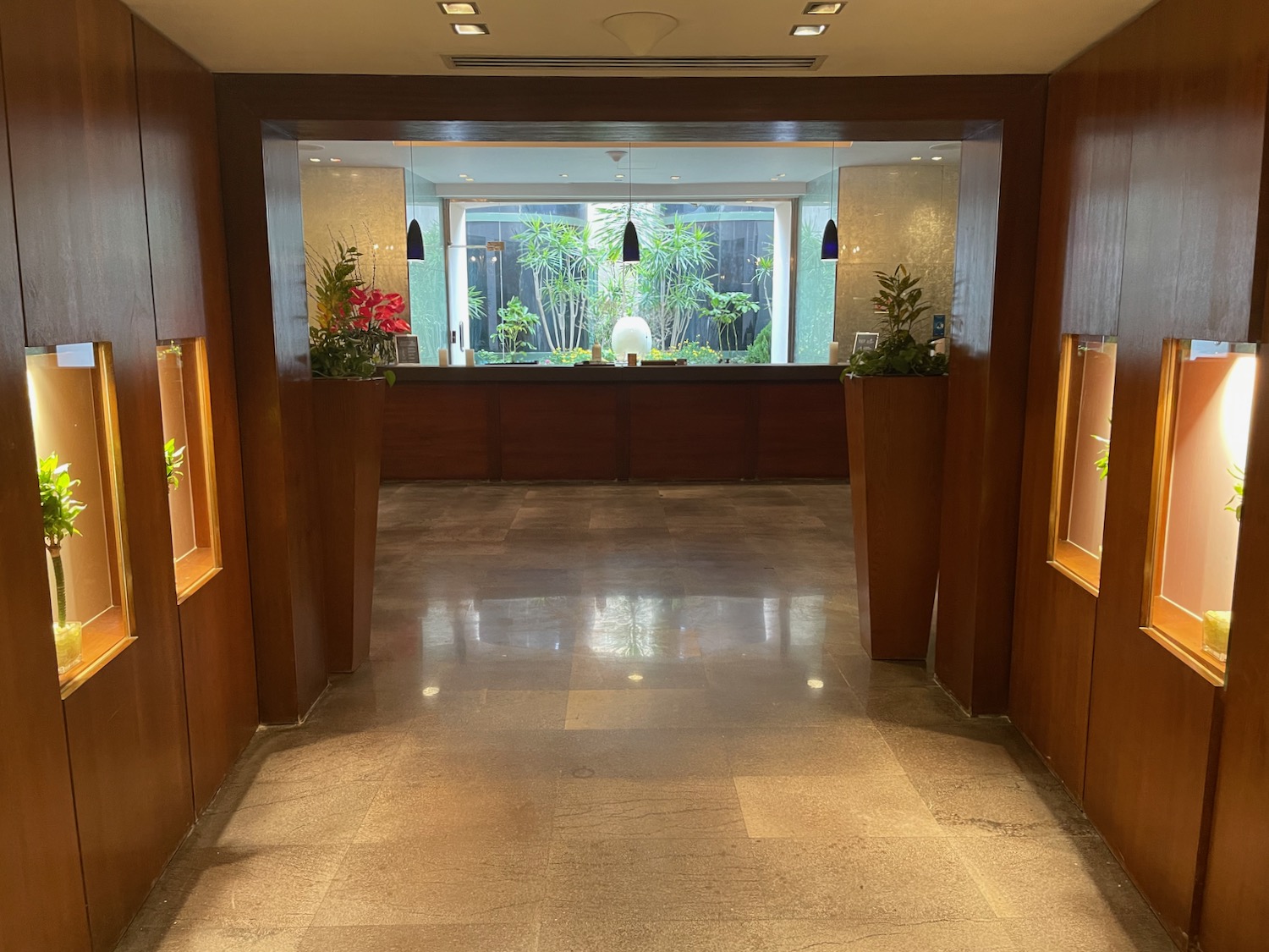 a hallway with plants in the window