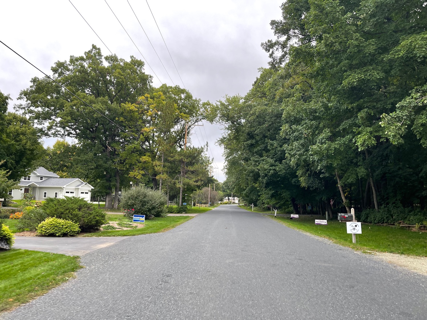 a road with trees and houses