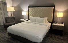 Hilton Shreveport bed