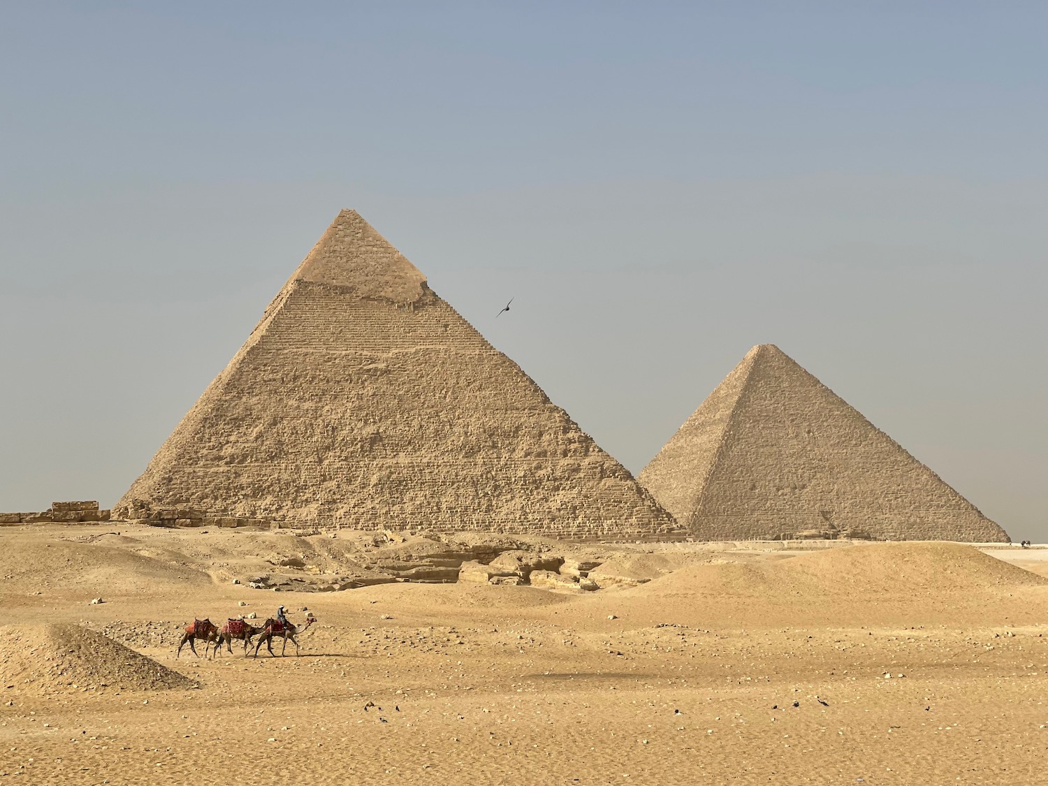 Best Time to Visit the Pyramids of Giza - Conclusion