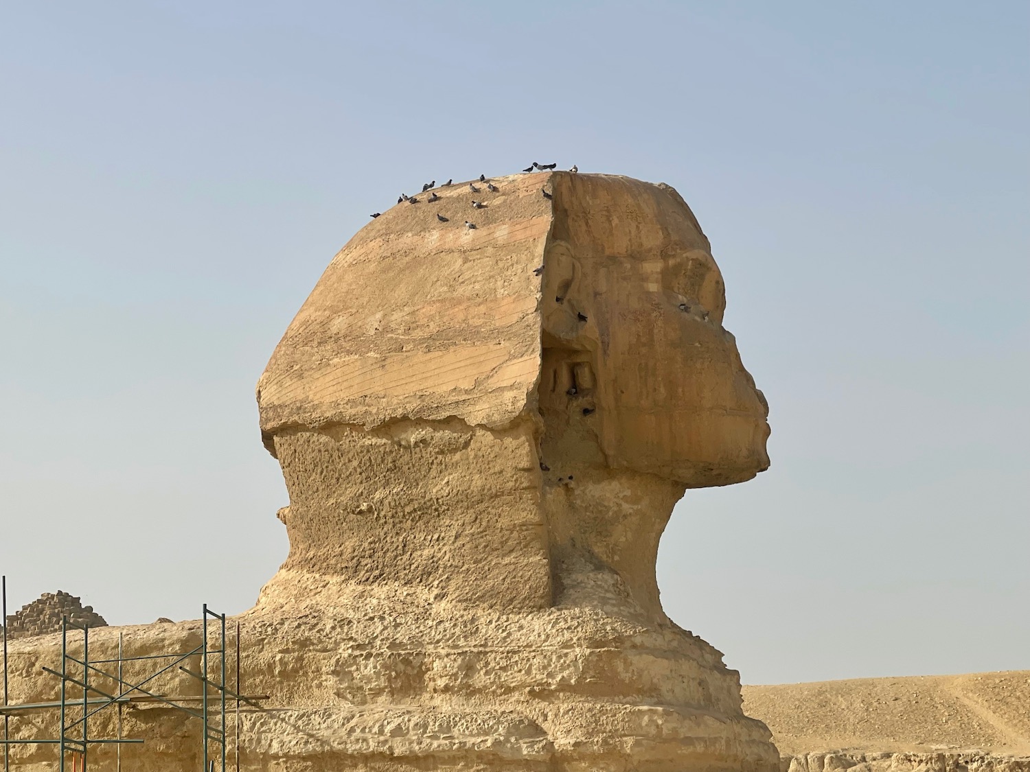 a statue of a man's head with Great Sphinx of Giza in the background