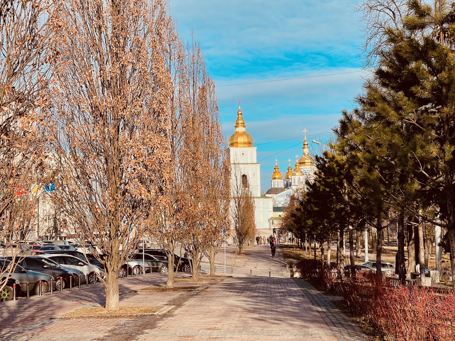 a sidewalk with trees and a building with gold domes