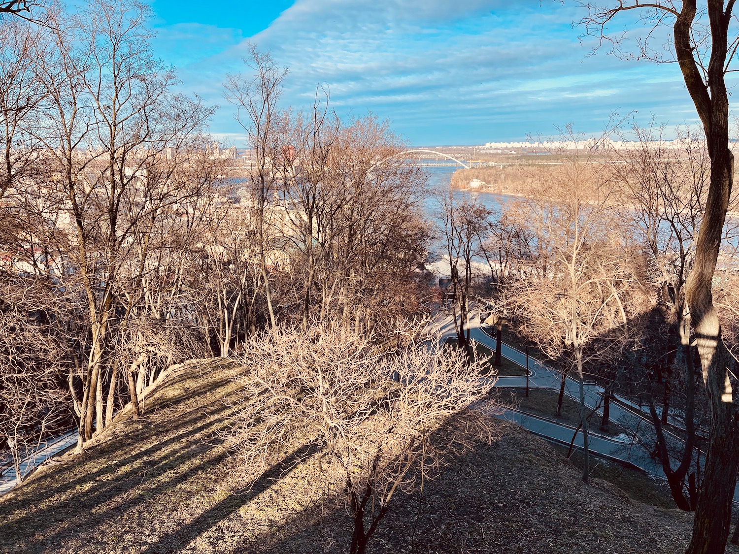 a view of a park with trees and a river