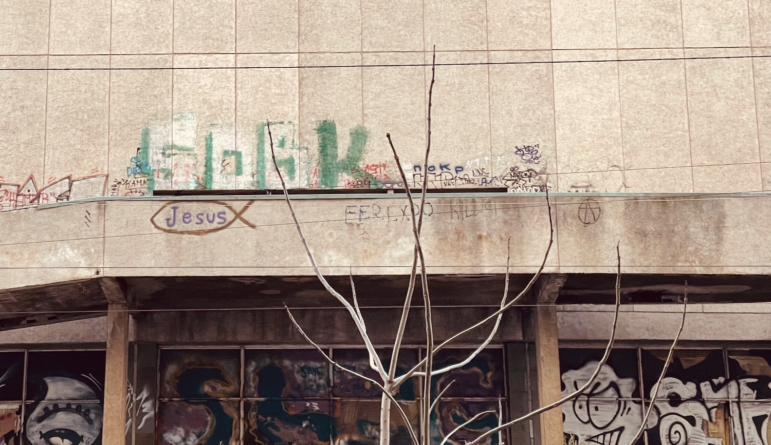 a tree with graffiti on the side of a building