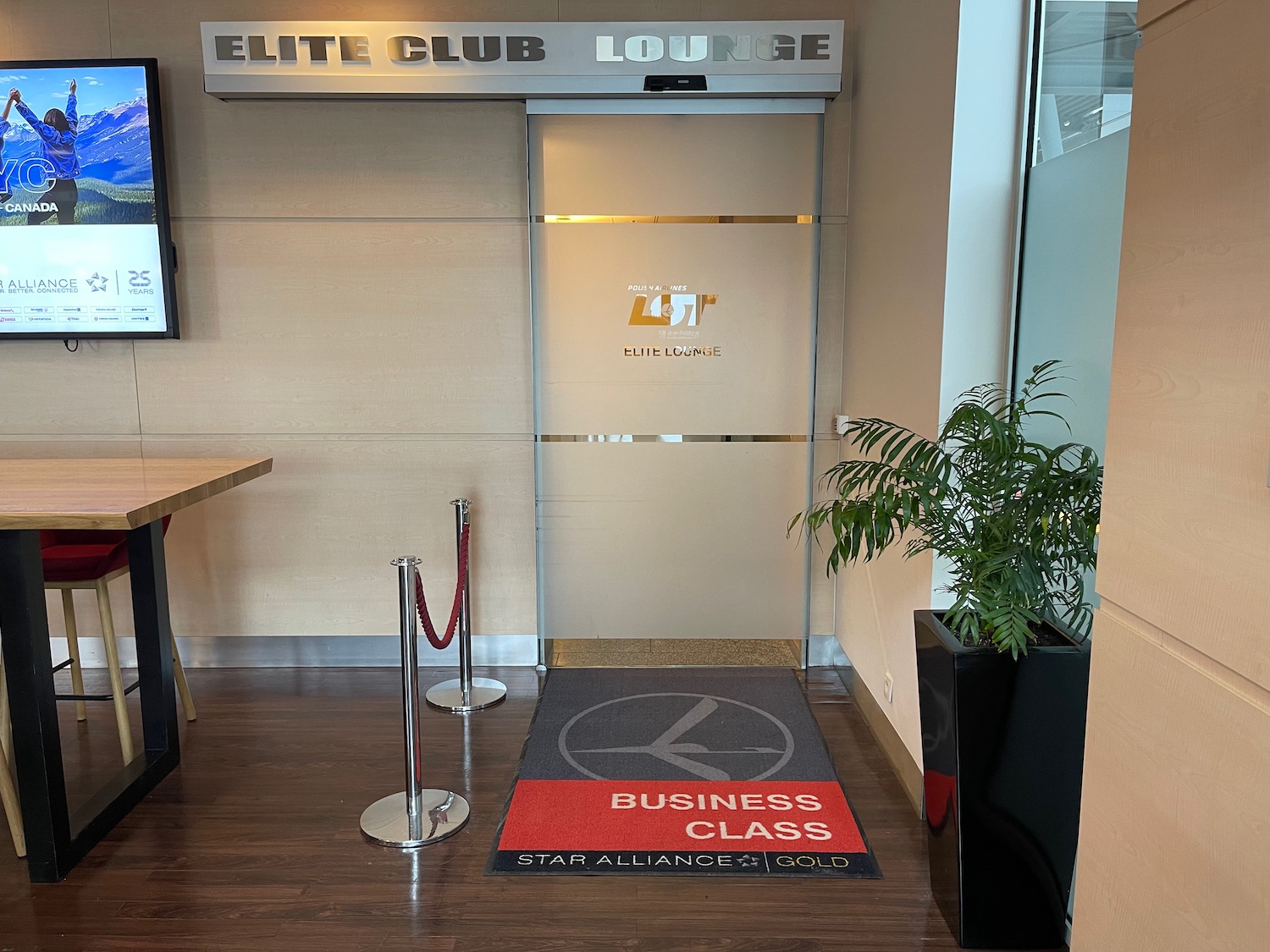 a glass door with a red carpet and a plant