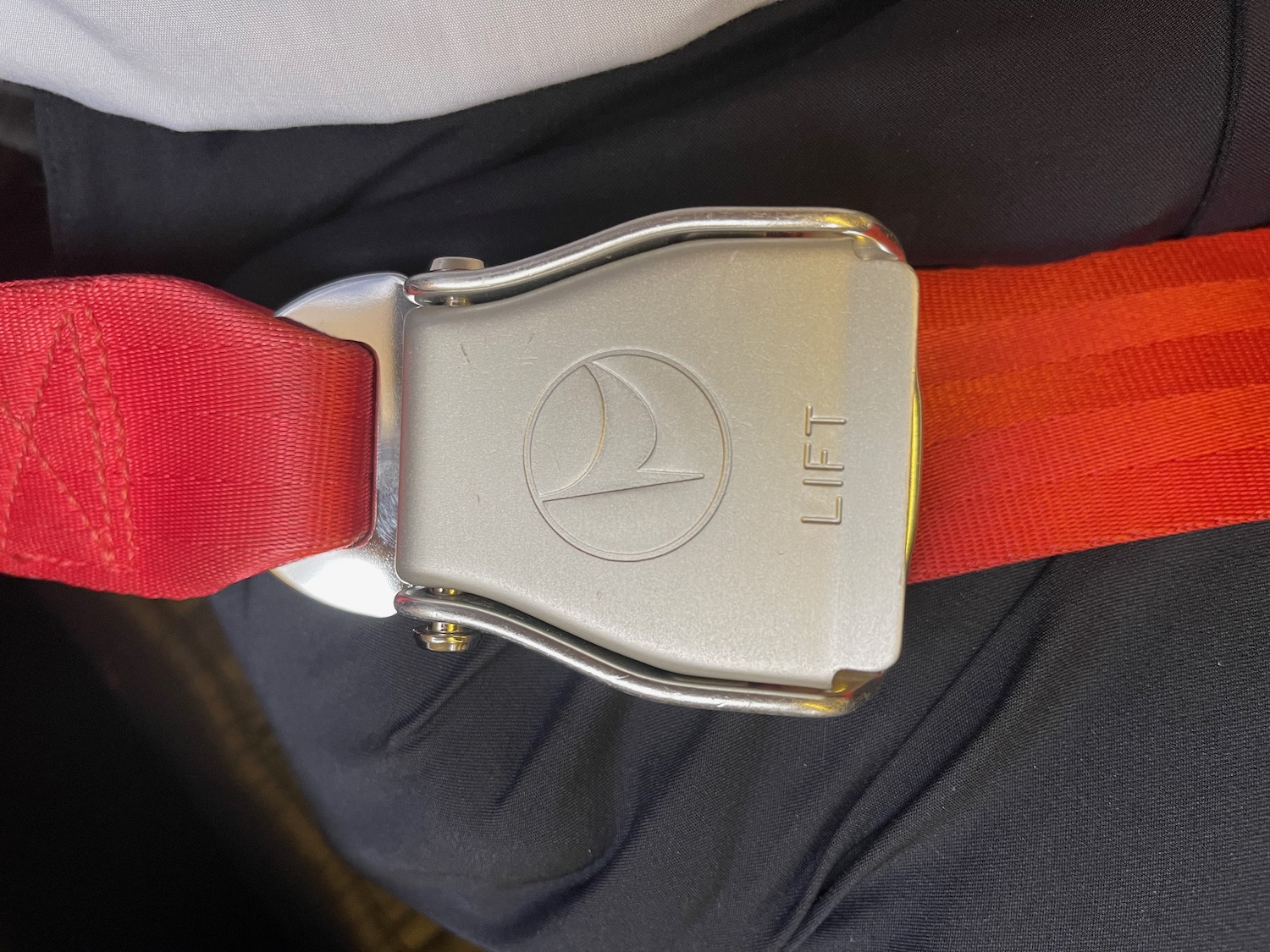 a seat belt on a person's lap
