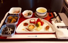 United Airlines Japanese Meal
