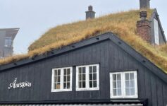 a building with grass on the roof