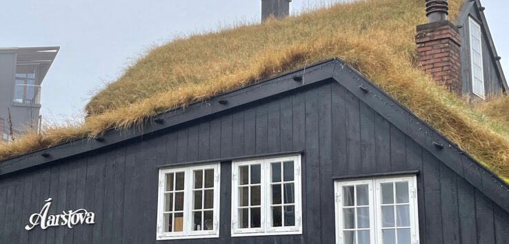 a building with grass on the roof