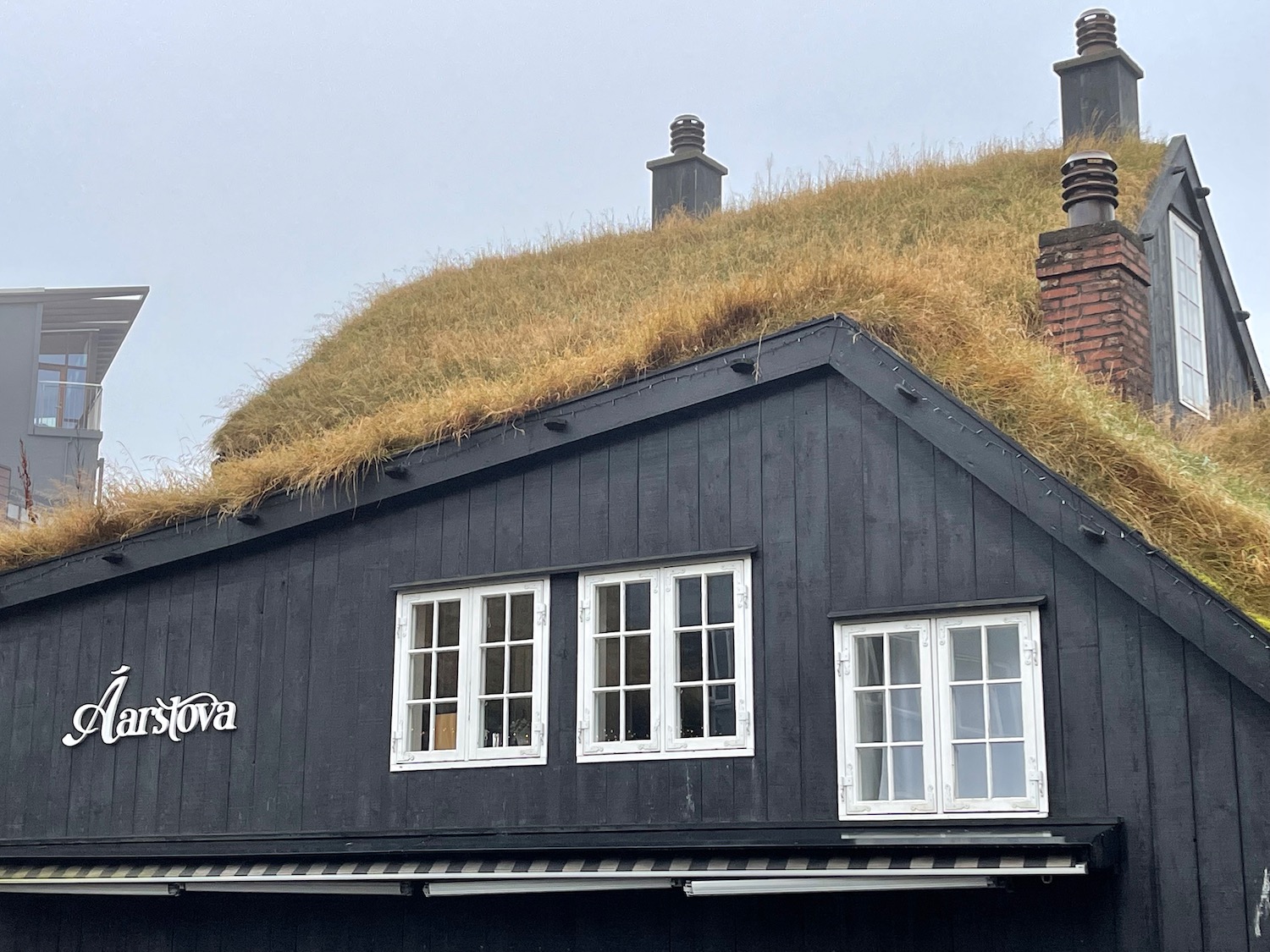 a building with grass on the roof