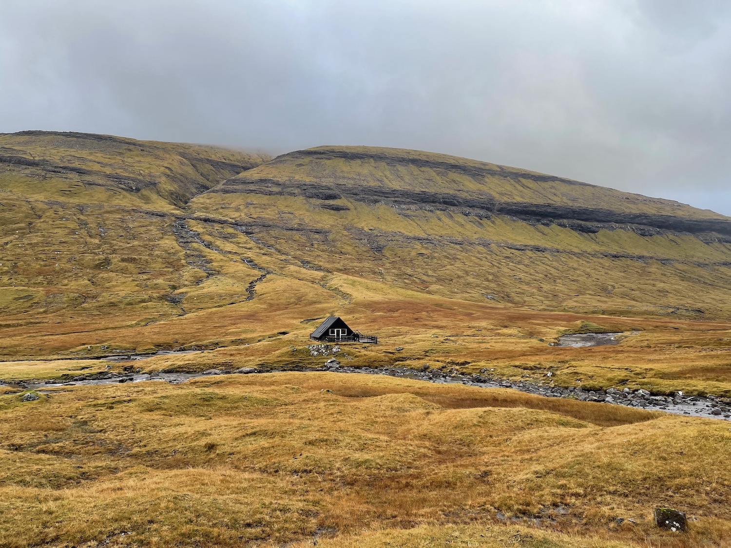 a house in a grassy field