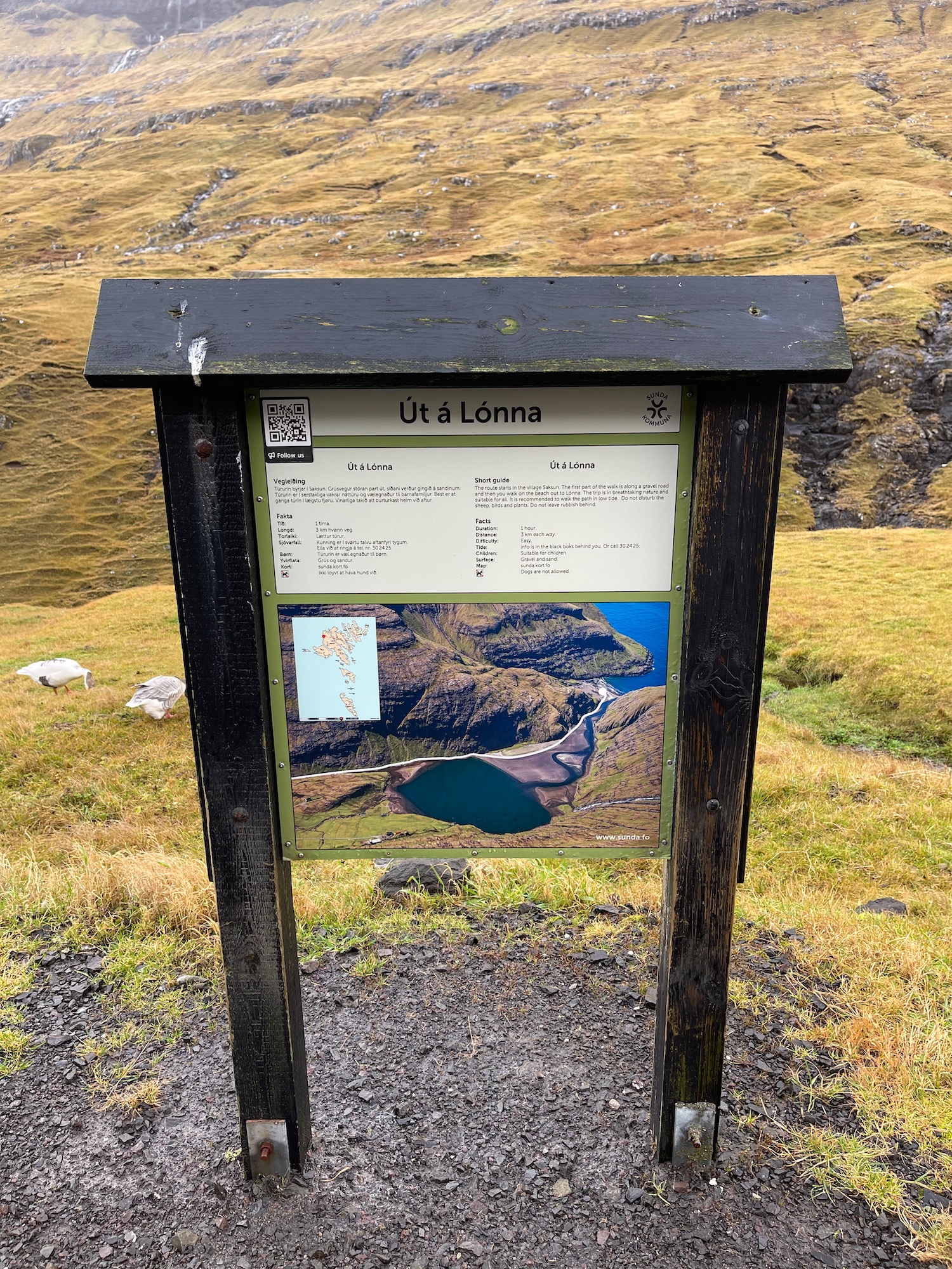 a sign on a hill