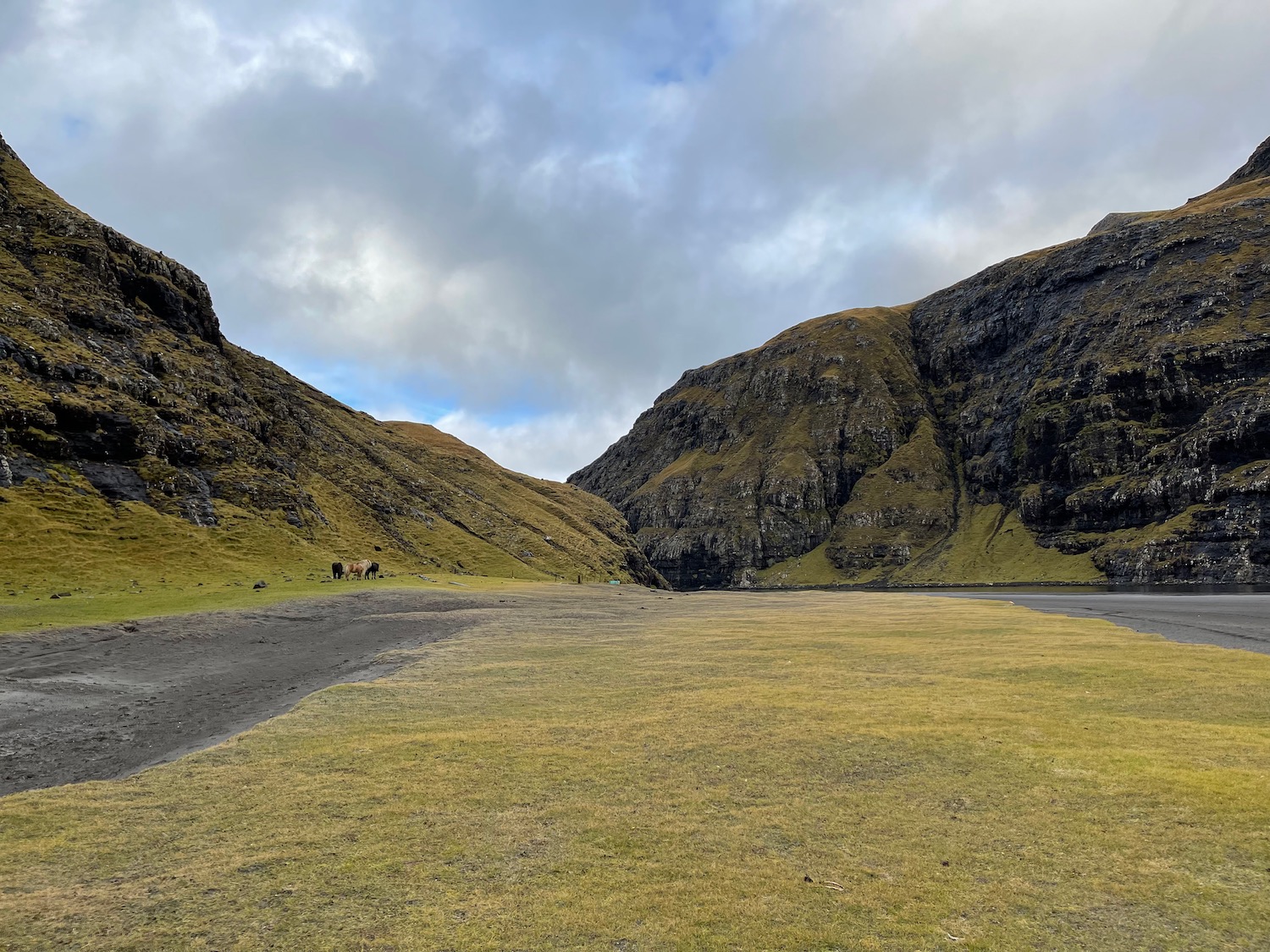 a grassy area with mountains and a road