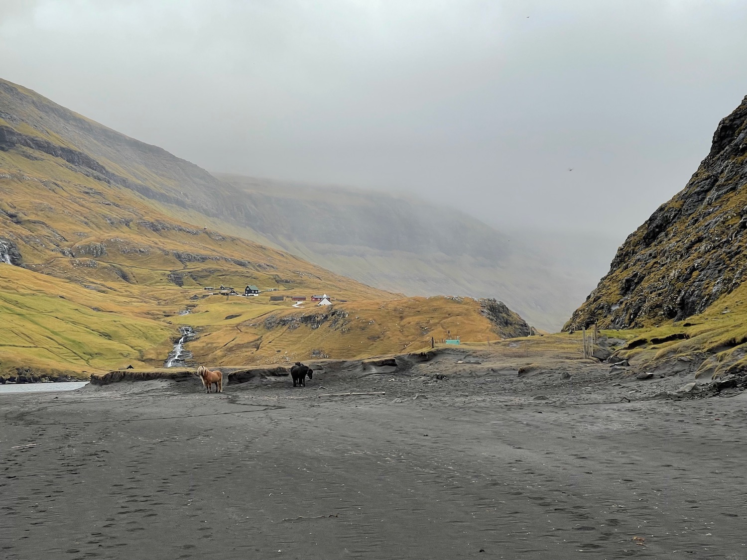 horses standing in a dirt road with mountains in the background