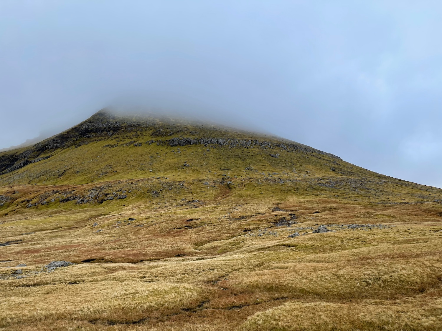 a grassy hill with a foggy top