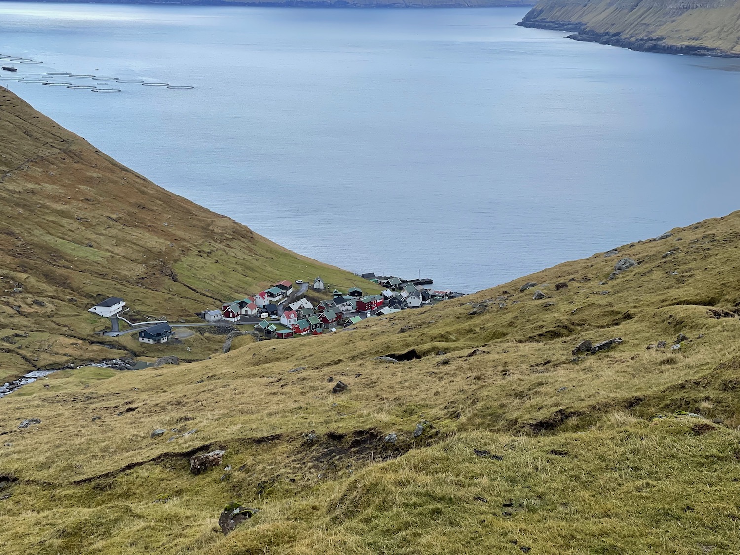 a group of houses on a hill by a body of water