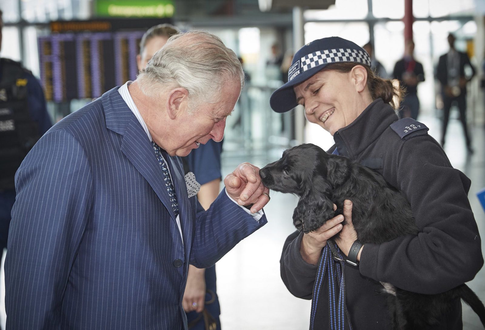 a man and woman holding a dog