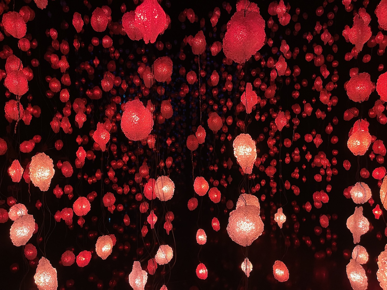 a group of red and white lights