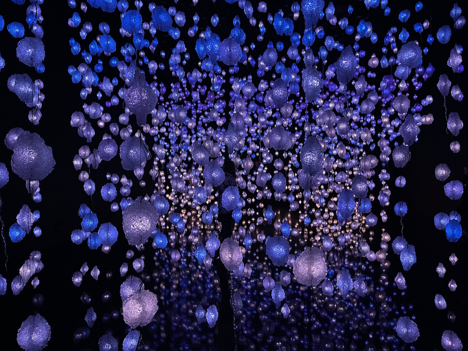 a group of blue and white lights