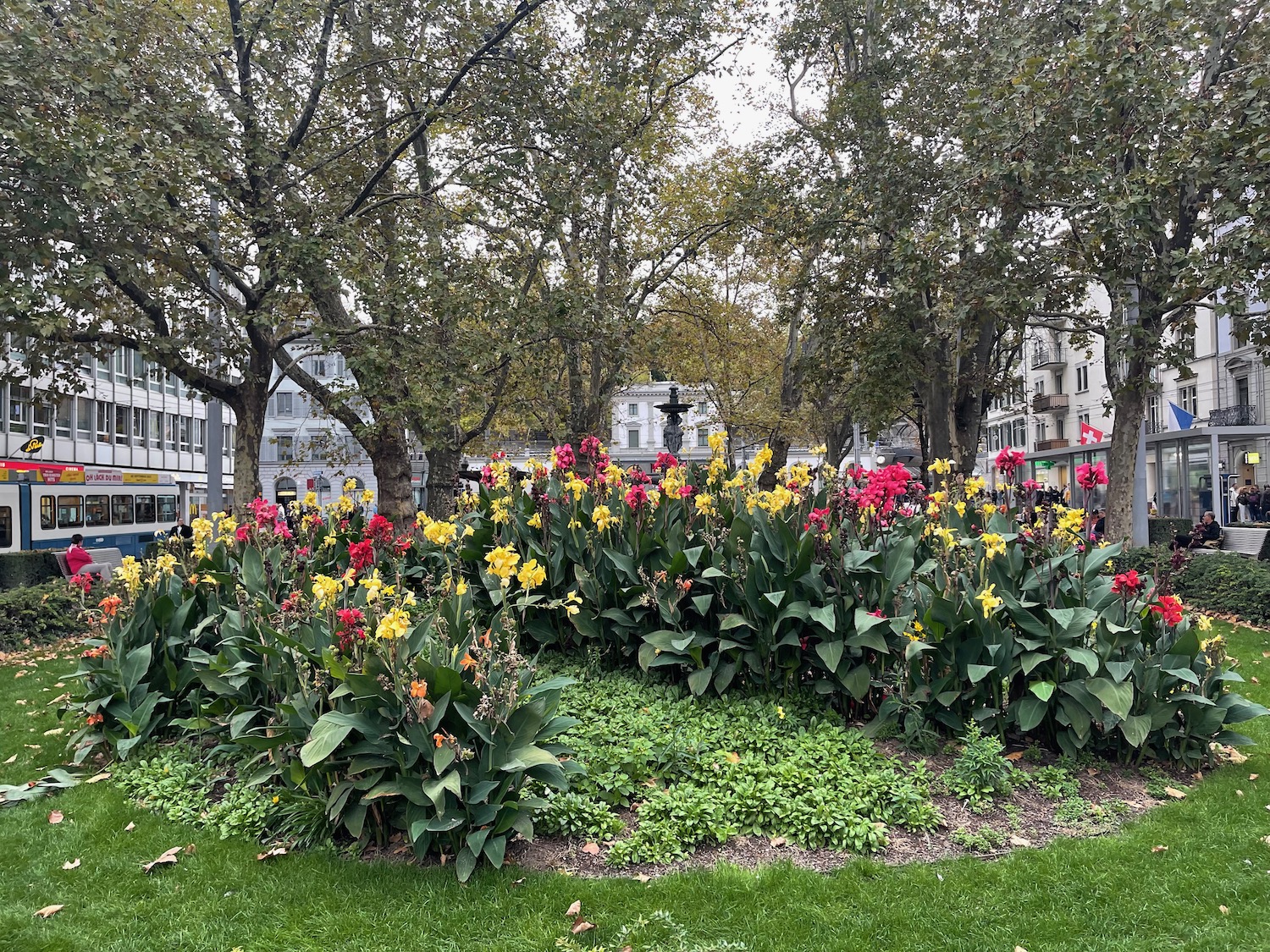 a group of flowers in a park
