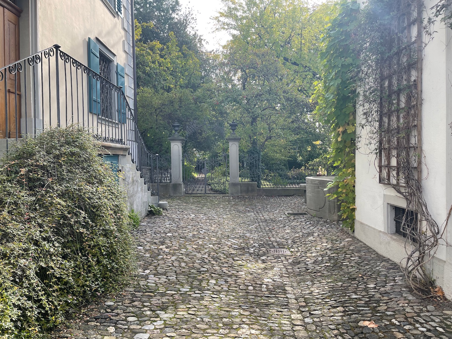 a stone driveway with a gate and trees