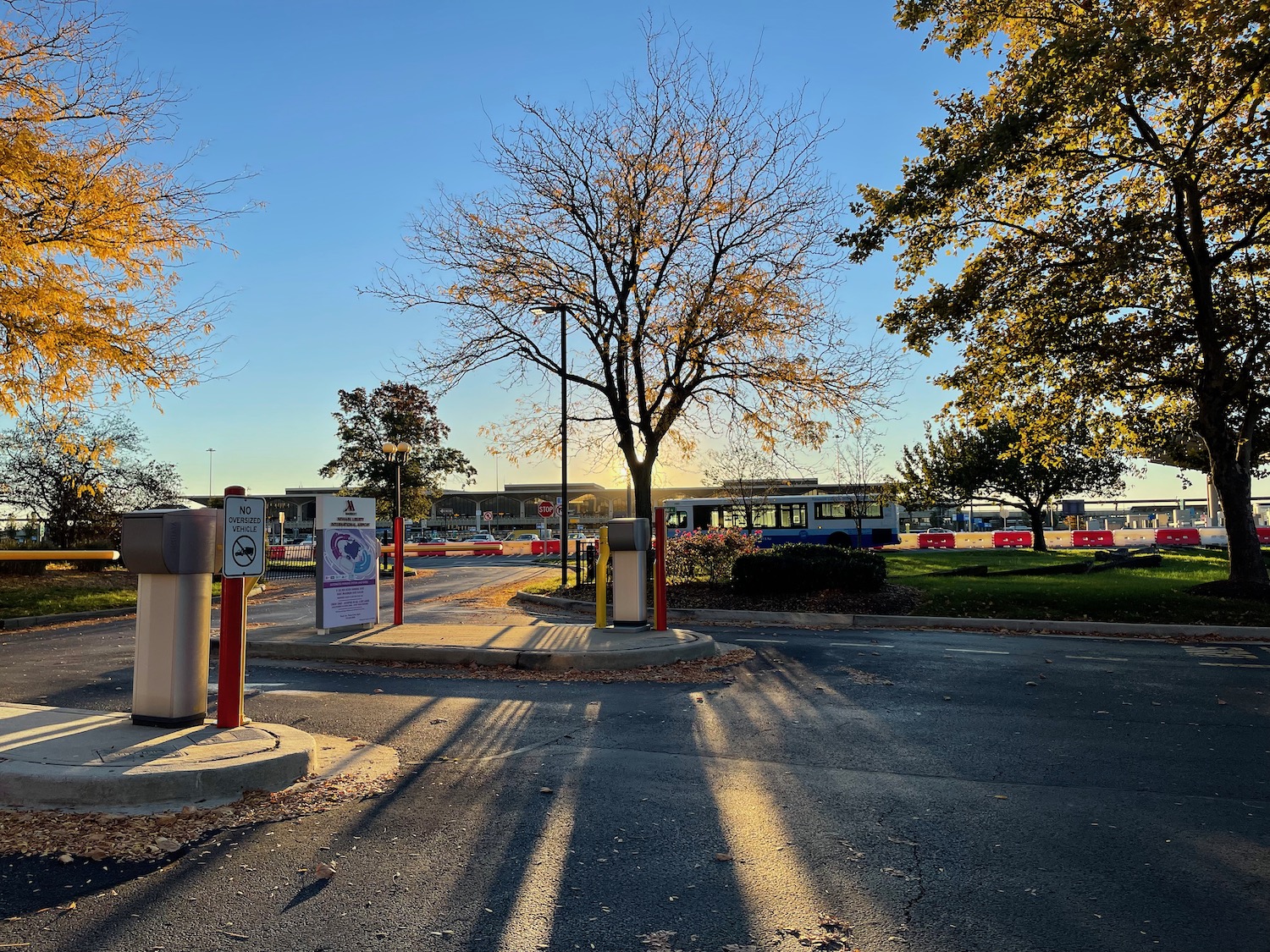 a parking lot with trees and a bus