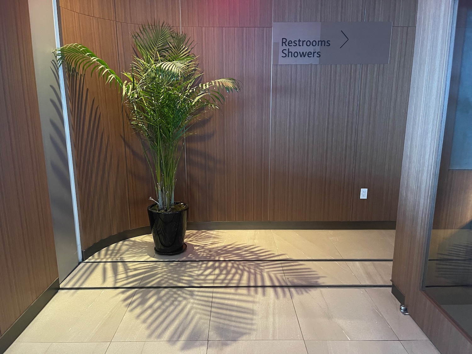 a potted plant in a restroom