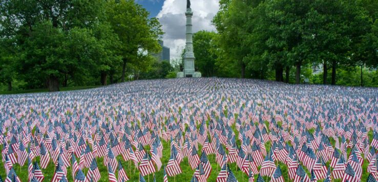 a field of small flags